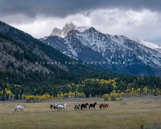 Everlasting West